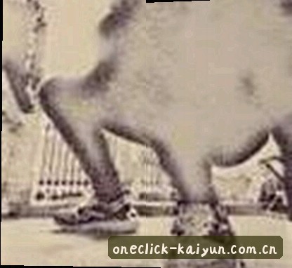 王哥